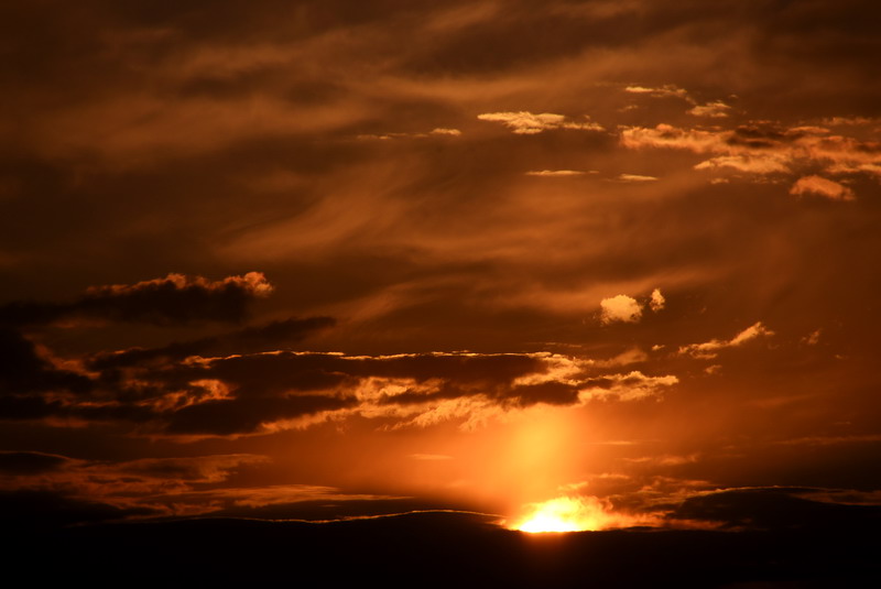 dsc_0694.jpg