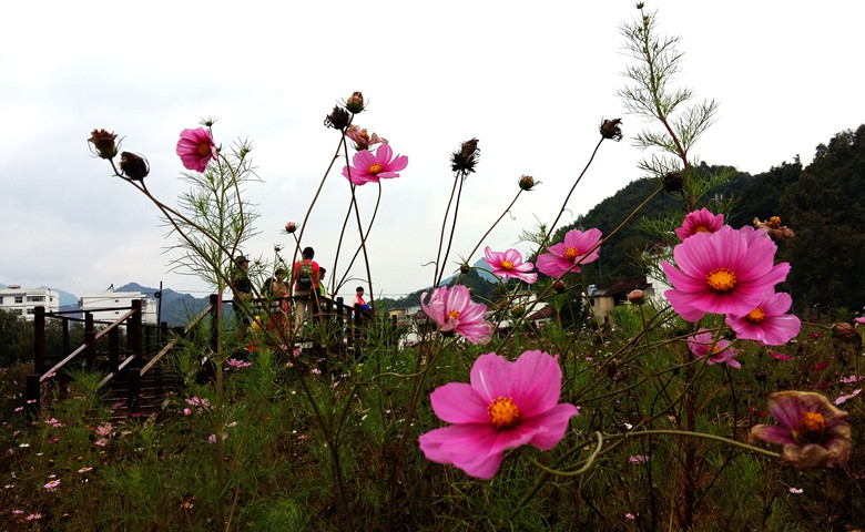 20150915_152517__.jpg