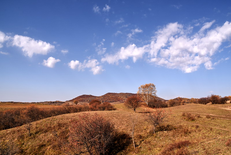 dsc_0998.jpg