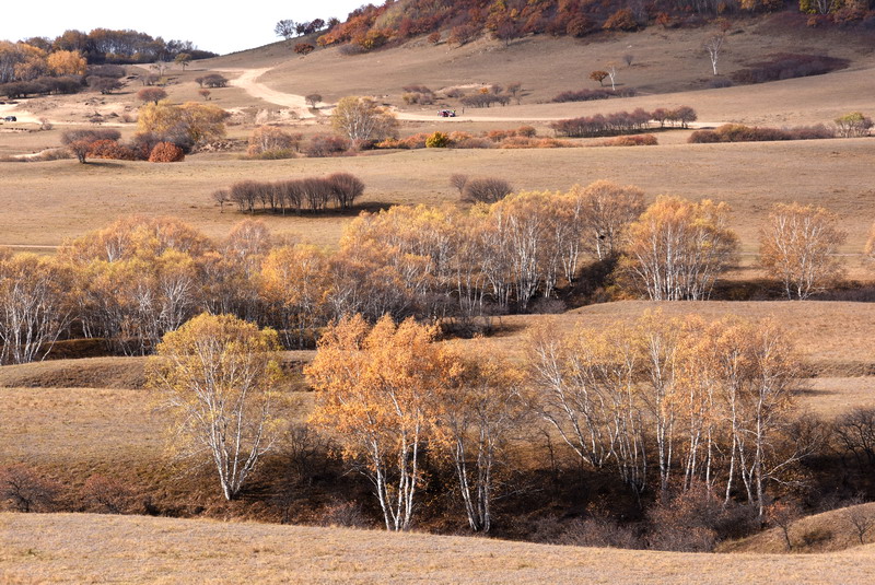 dsc_1013.jpg