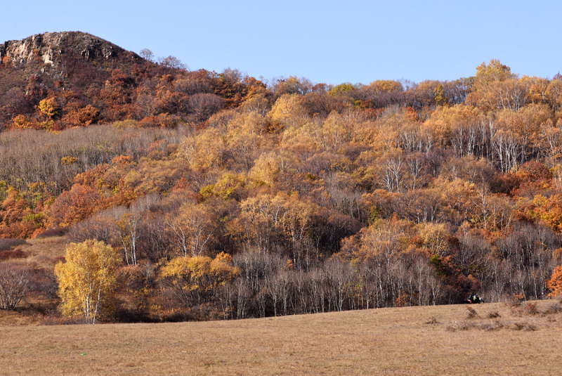 dsc_1052.jpg