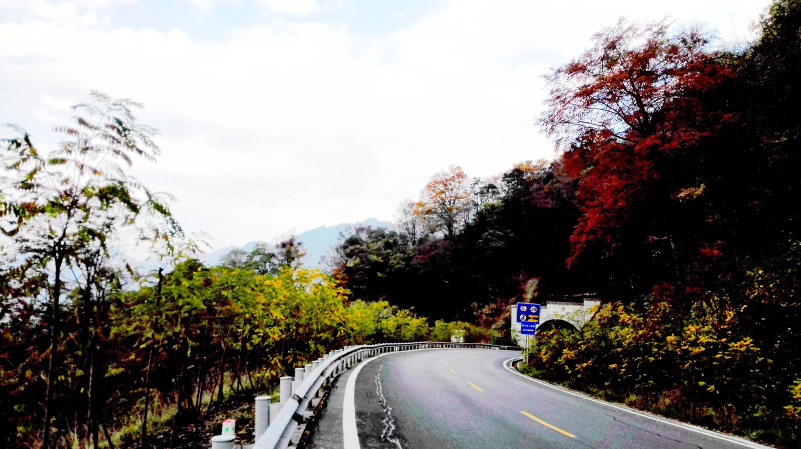 img_20151021_161435.jpg