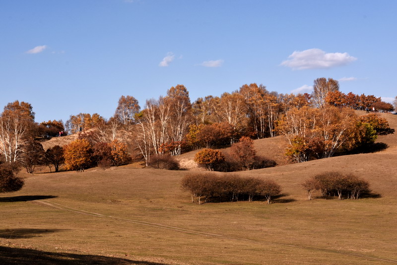 dsc_1145.jpg