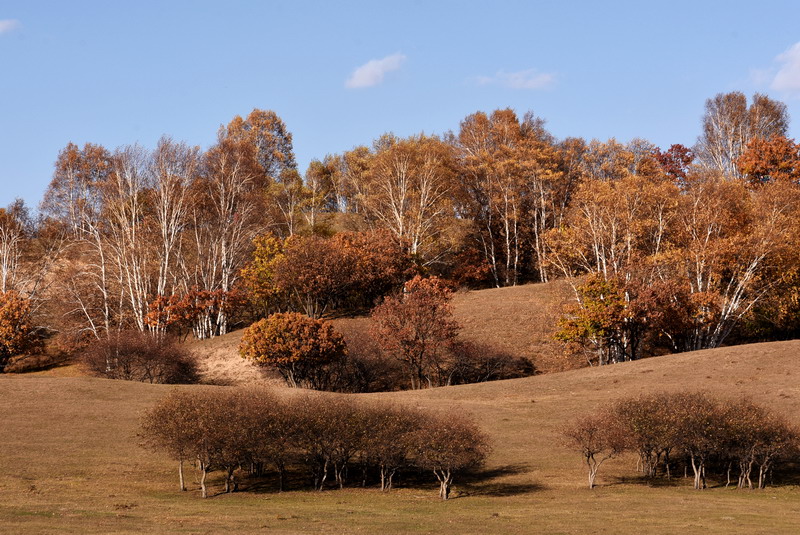 dsc_1150.jpg