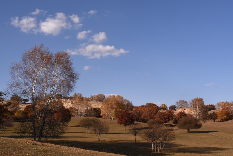 dsc_1154.jpg