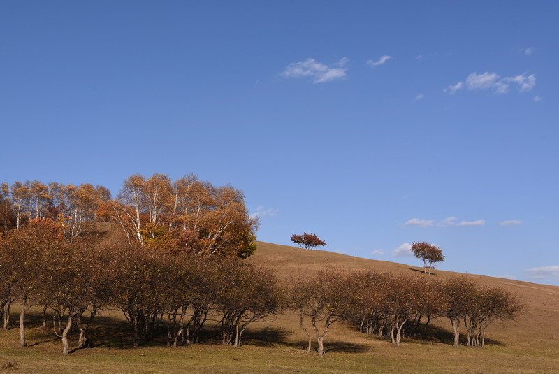dsc_1161.jpg