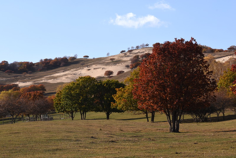 dsc_1165.jpg