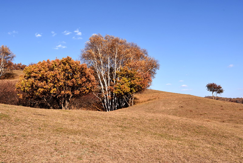 dsc_1175.jpg