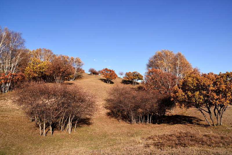 dsc_1182.jpg