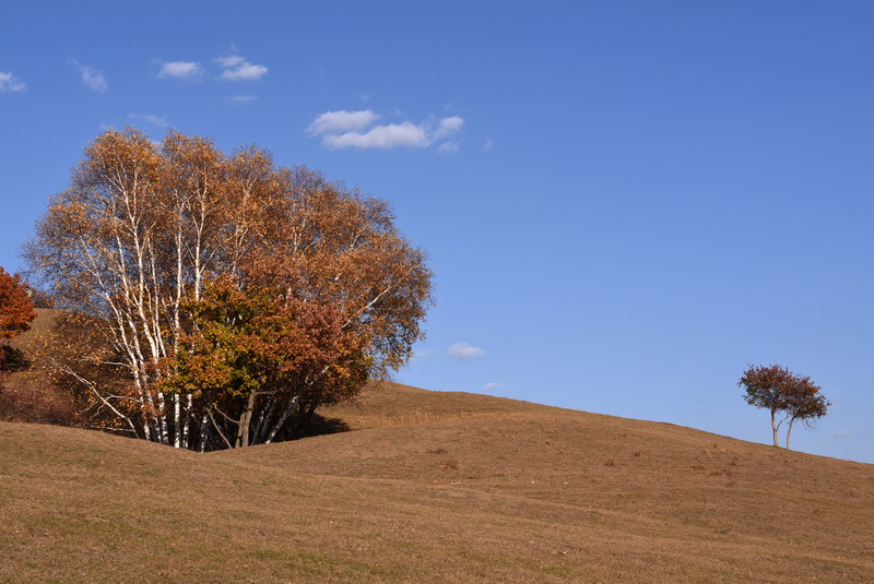 dsc_1167.jpg