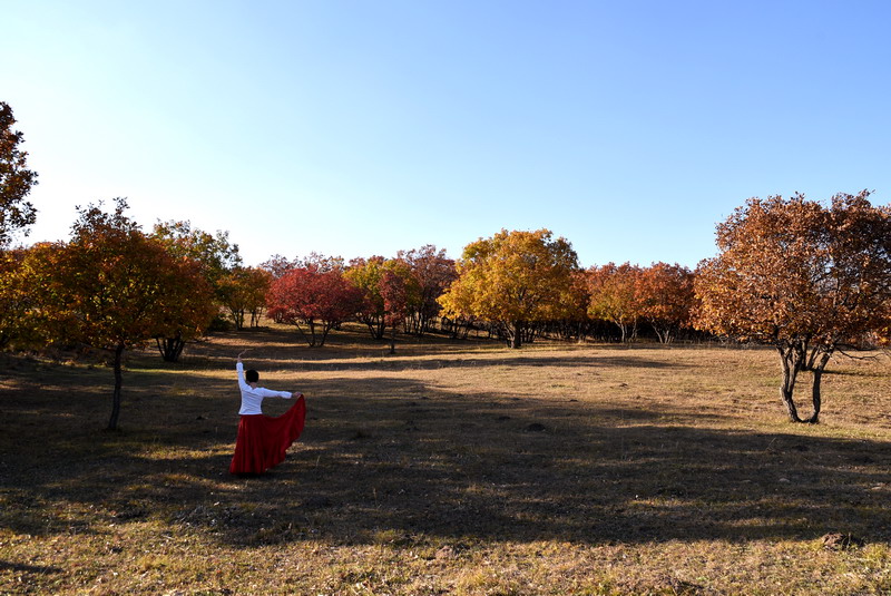 dsc_1219.jpg