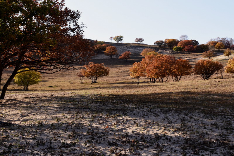 dsc_1247.jpg