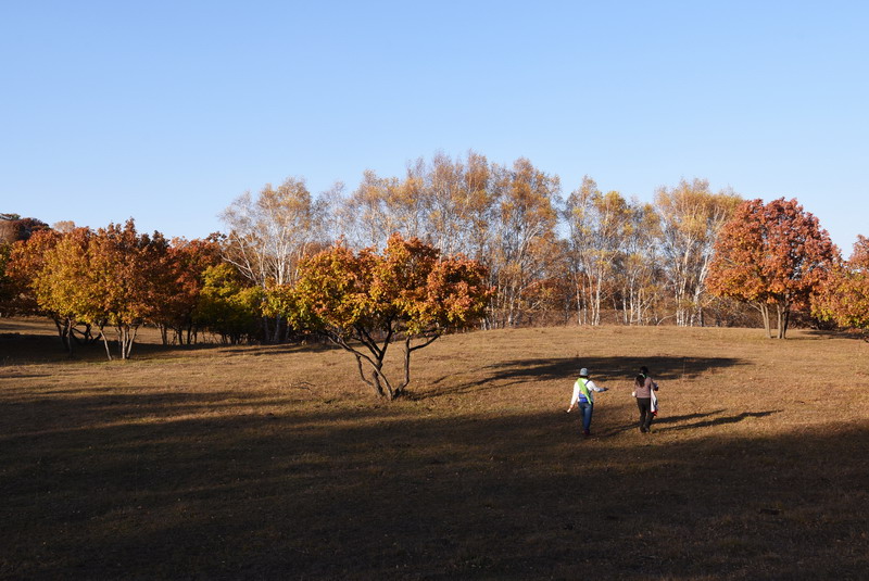 dsc_1259.jpg
