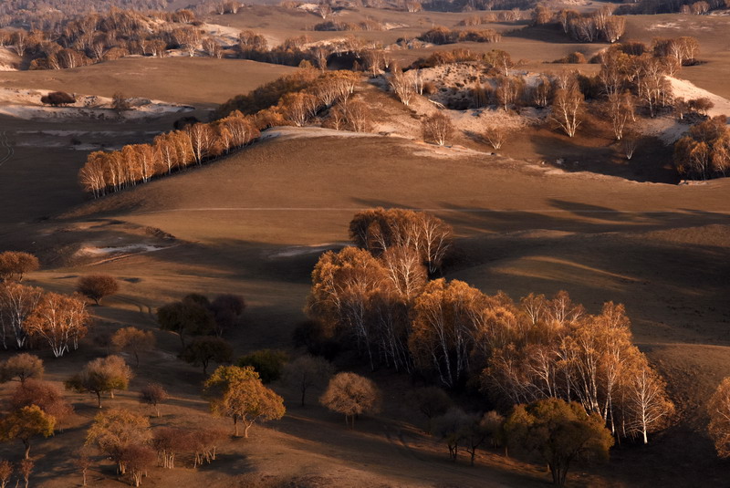 dsc_1288.jpg