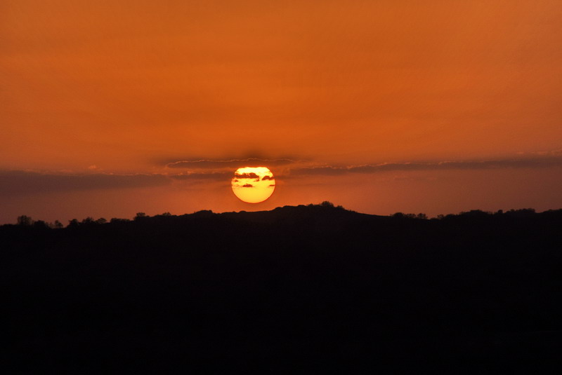 dsc_1321.jpg