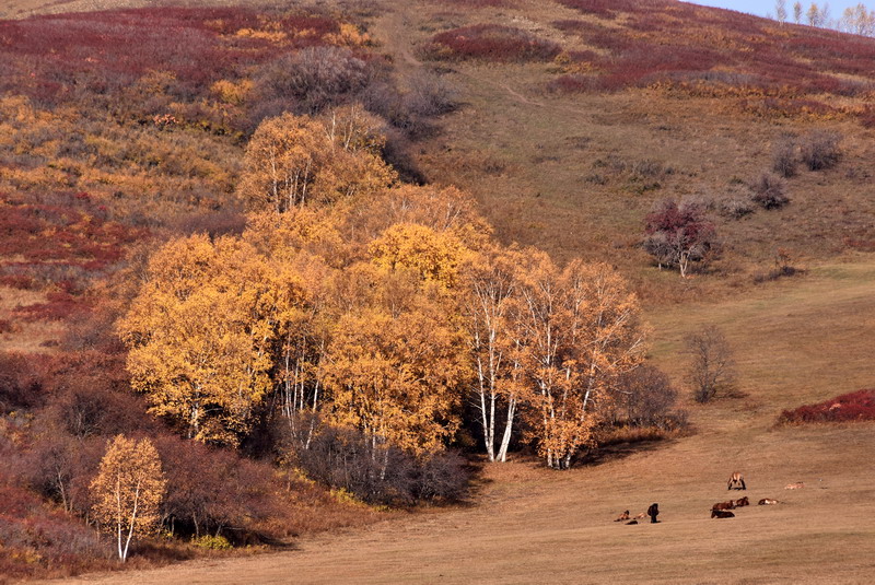 dsc_1333.jpg