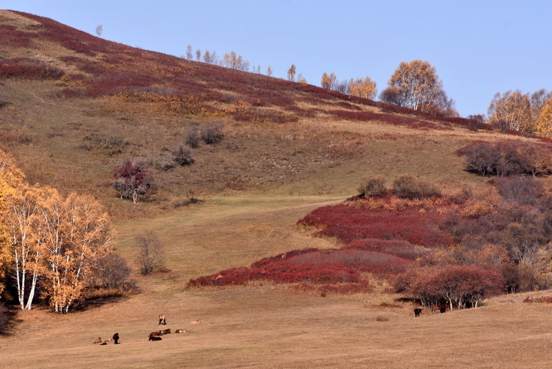 dsc_1335.jpg