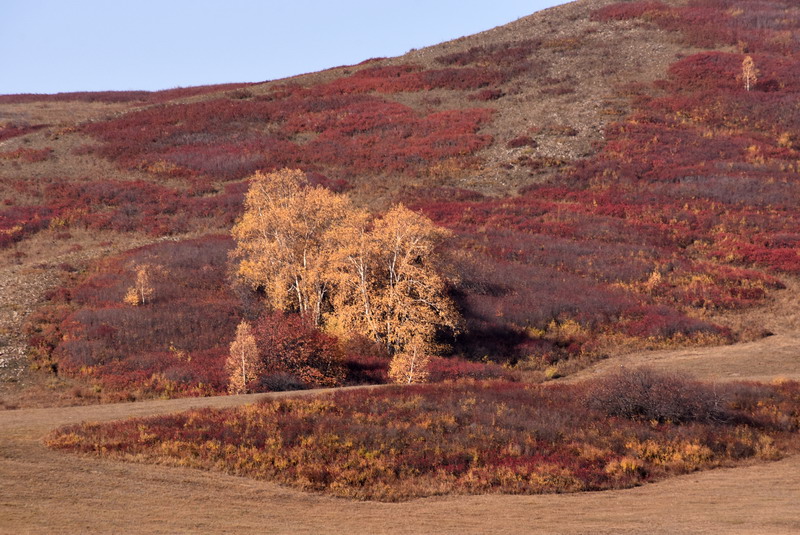 dsc_1339.jpg