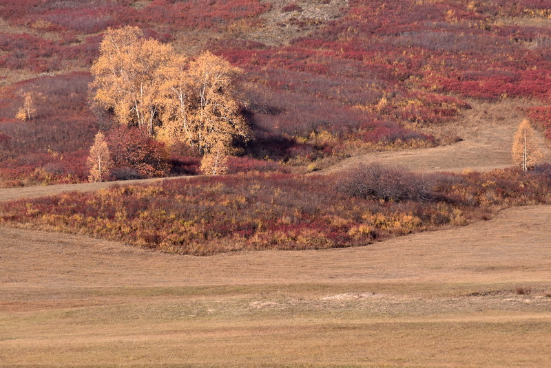 dsc_1340.jpg