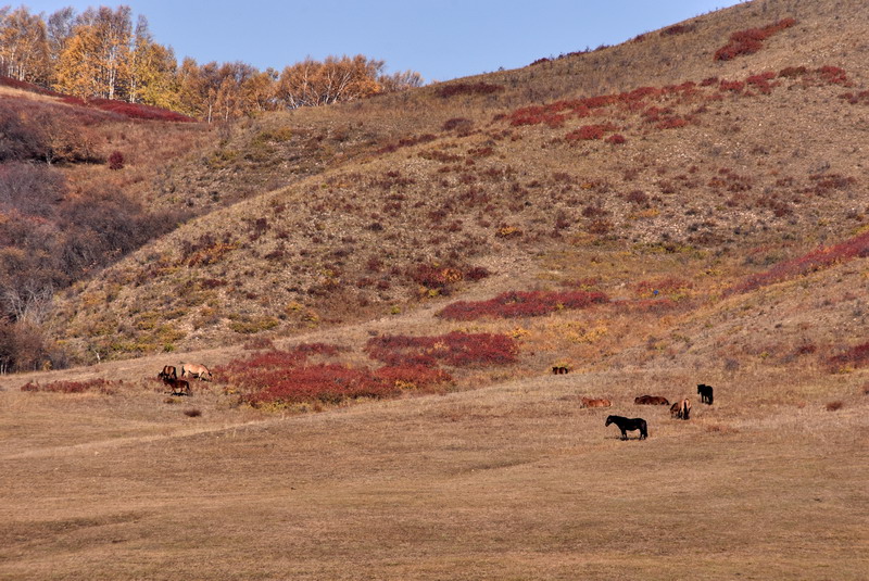 dsc_1341.jpg