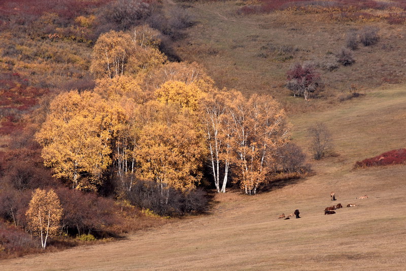 dsc_1342.jpg