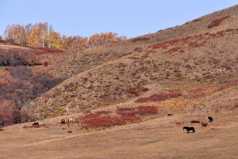 dsc_1343.jpg