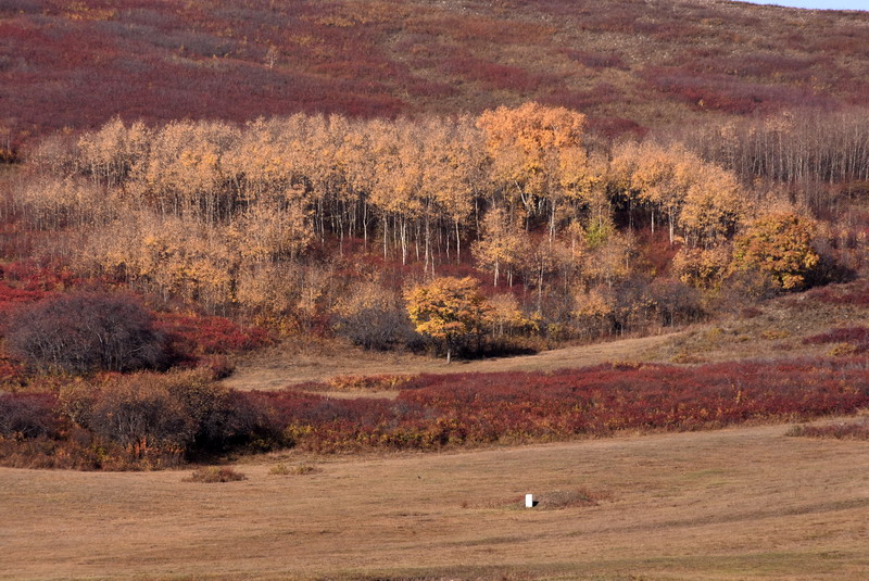 dsc_1346.jpg
