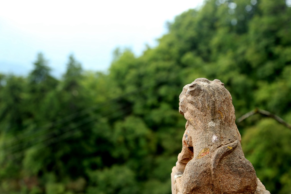 img_8648__.jpg
