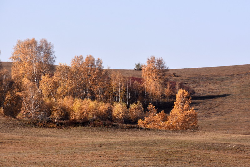 dsc_1348.jpg