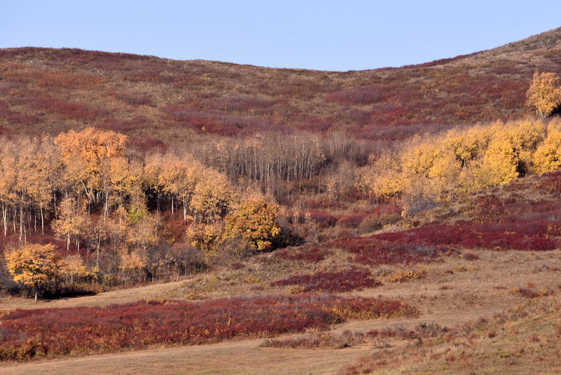 dsc_1352.jpg