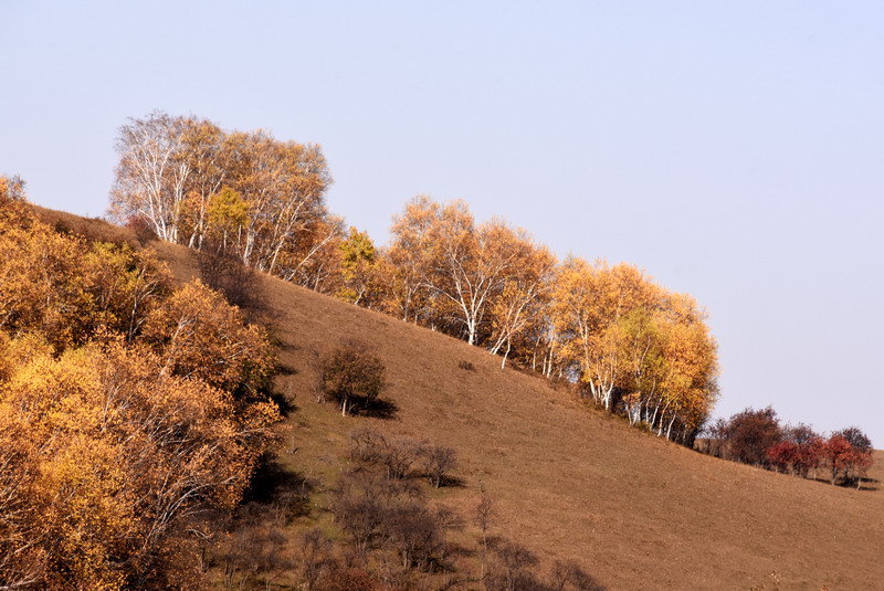 dsc_1371.jpg