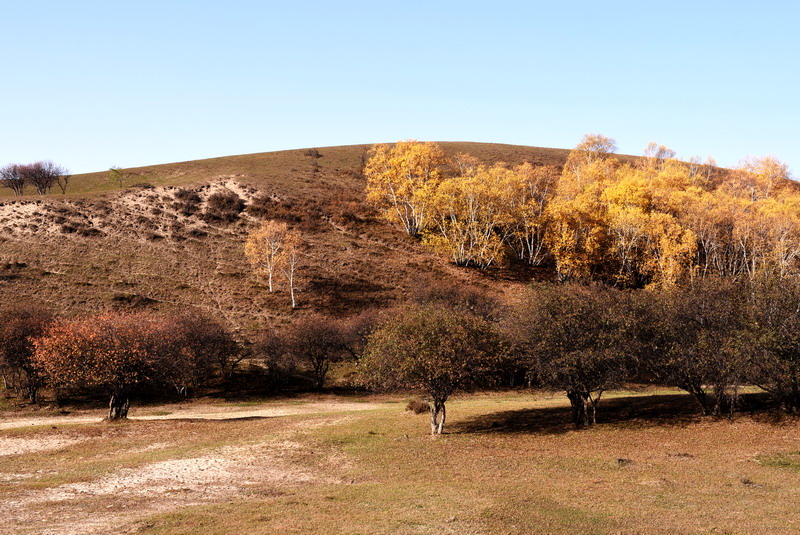 dsc_1372.jpg
