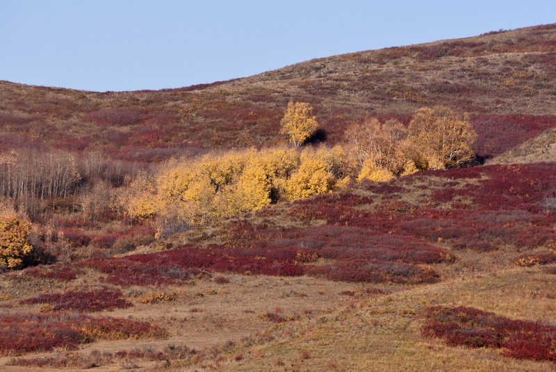 dsc_1353.jpg