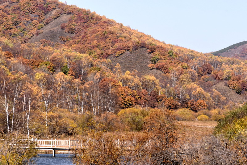 dsc_1378.jpg