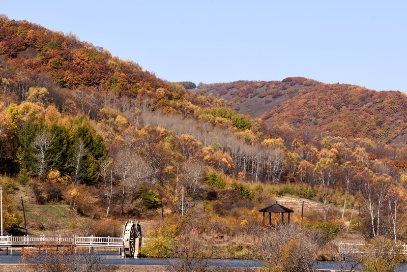 dsc_1376.jpg