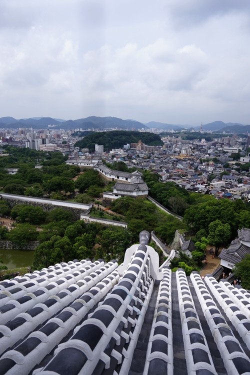 dsc00940.jpg