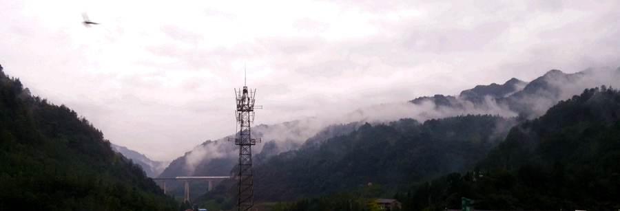 20150926_095343_.jpg
