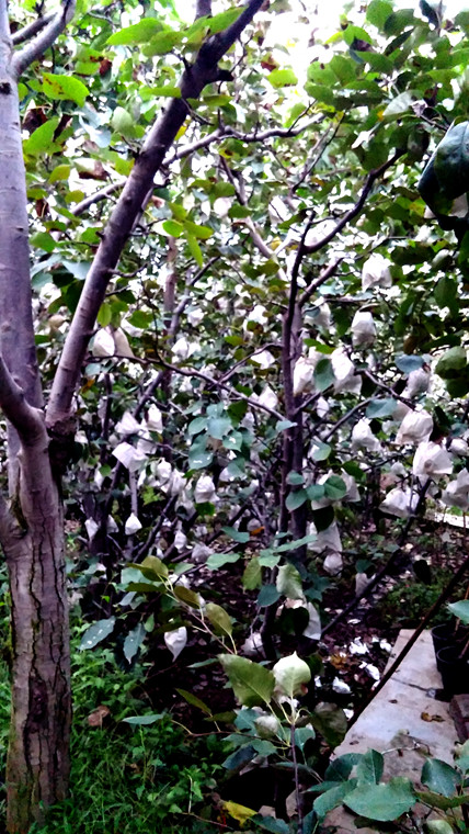 20150927_071404_.jpg