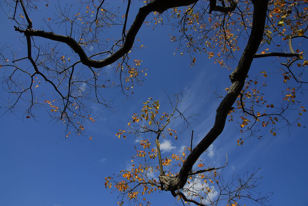 dsc_9316_副本.jpg