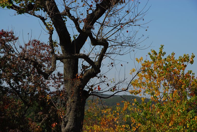 dsc_9268_副本.jpg