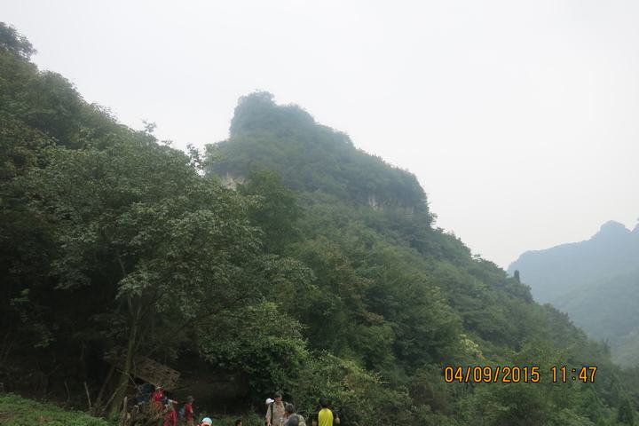 img_7105.jpg