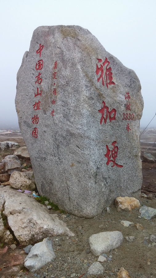 20150927_185602_.jpg