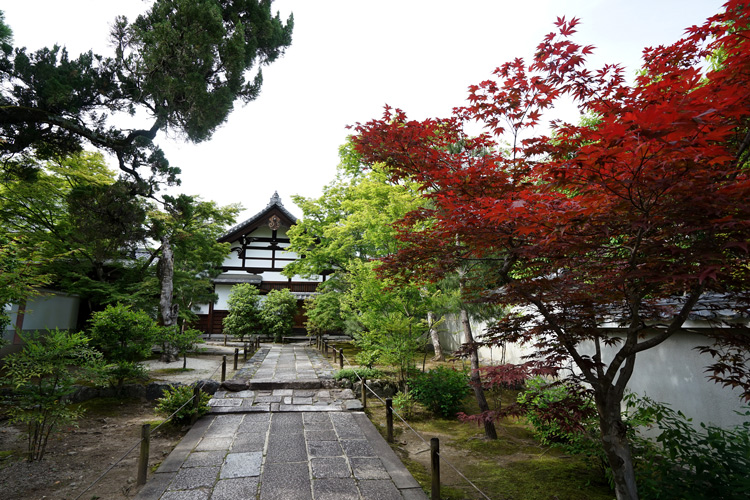 dsc08214.jpg