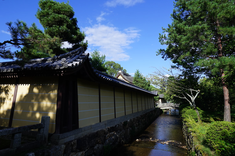 dsc01349.jpg