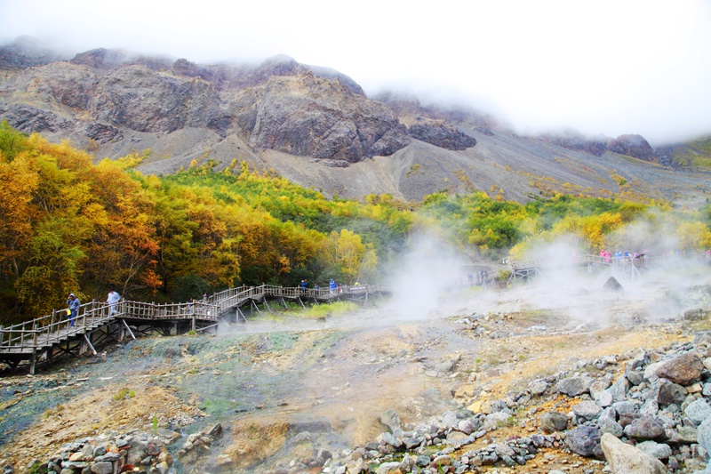 _mg_7217.jpg
