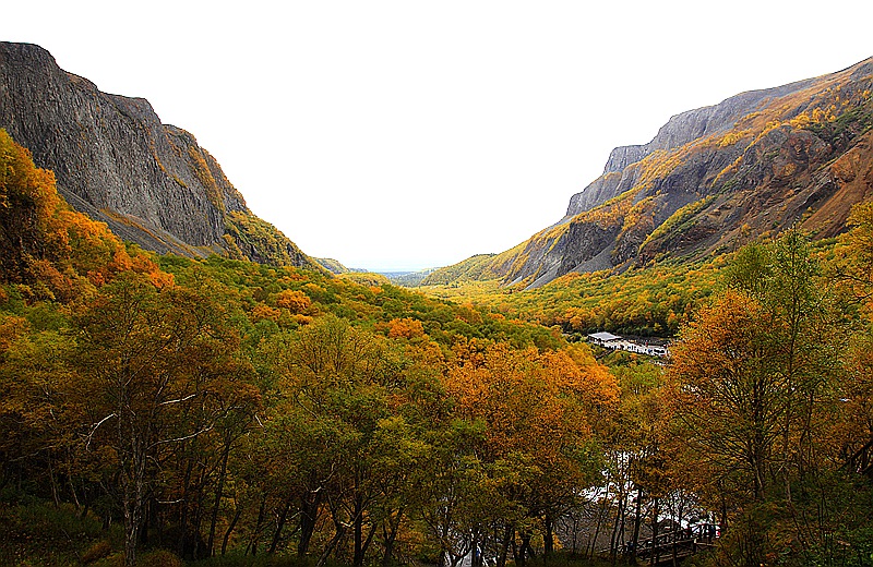 _mg_7256.jpg