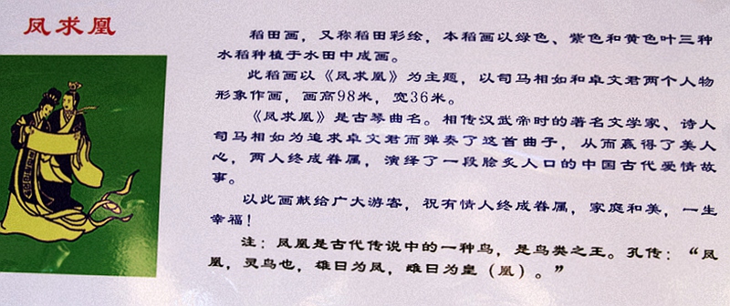 _mg_7555.jpg