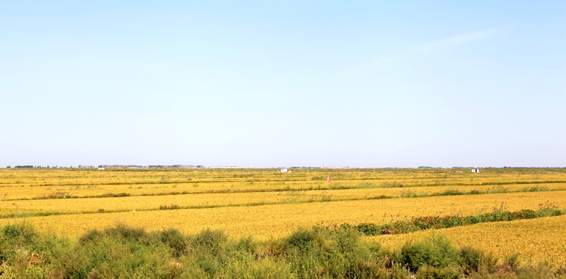 _mg_7535.jpg