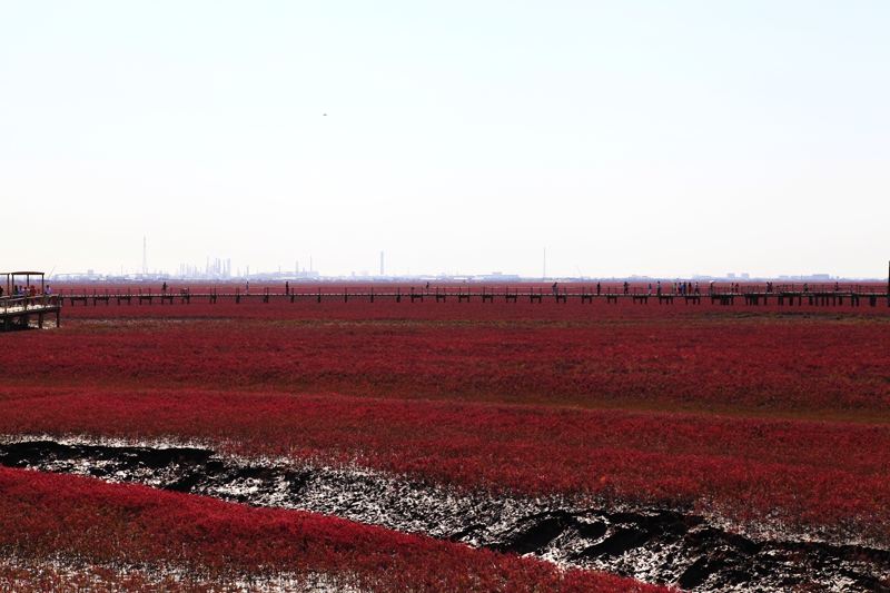 _mg_7538.jpg