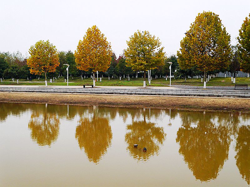 p1230068.jpg